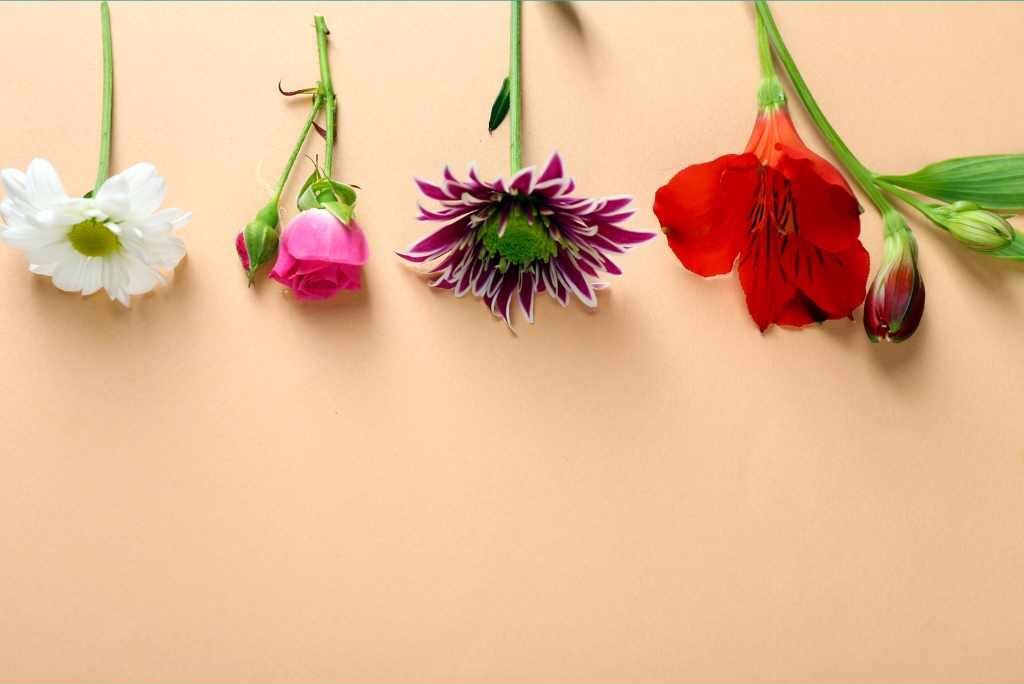 4 flowers replicating Small Group Reformer Pilates in Boulder, Colorado